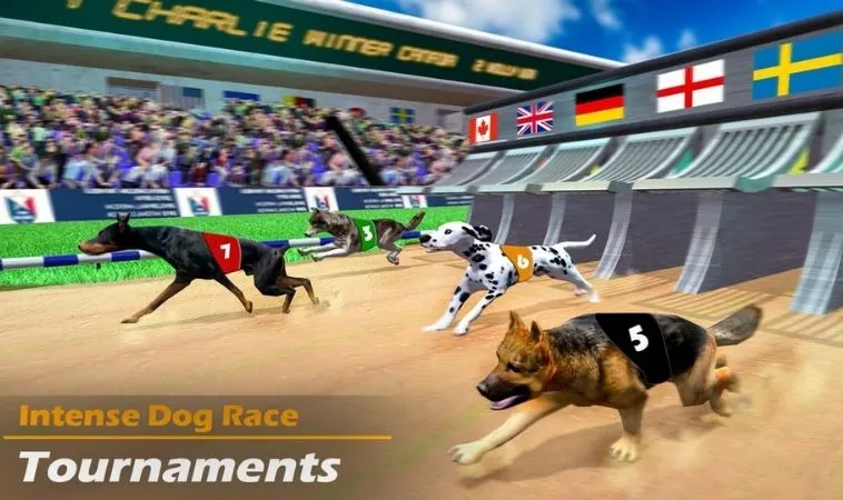 Cách Chơi Game Nhanh Đua Chó Tại 88CLB: Đánh Giá Và Hướng Dẫn 2 Giao diện chơi game nhanh Đua Chó tại 88CLB